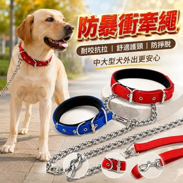 寵物用品 1.6米金屬牽引鍊護頸項圈