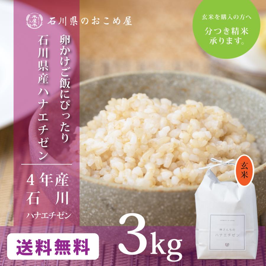 玄米 ハナエチゼン 3kg 石川県産 3キロ 令和5年産 新米