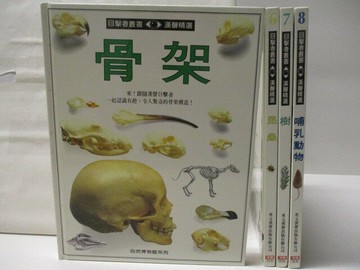 【書寶二手書T5／少年童書_VLG】高_目擊者叢書-骨架_昆蟲_樹_哺乳動物_4本合售