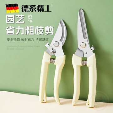 ✅實用好物✅不鏽鋼粗枝剪省力修枝剪刀園藝修花木果樹嫁接園林剪樹枝剪rewe