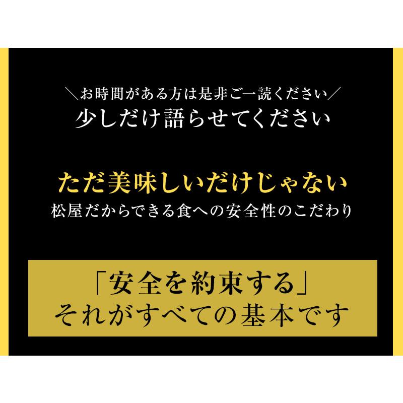 牛丼 牛丼の具 とんかつライスバーガー＆プレミアム牛めし＆オリジナルカレー30食セット（とんかつライスバーガー 牛めし オリジナルカレー各10） 業務用 松屋