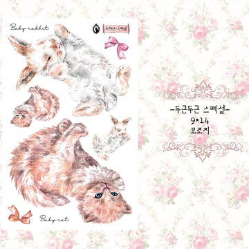 pit-a-pat animal 特殊款 (藍獅子) (suyeon)