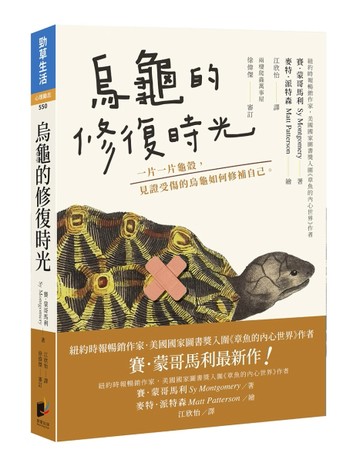 烏龜的修復時光：一片一片龜殼， 見證受傷的烏龜如何修補自己【TAAZE讀冊生活】