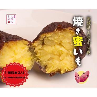 ふるさと納税 DP12_焼き蜜いも（1箱6本入り） ※着日指定不可 茨城県古河市