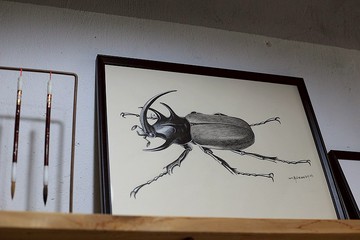 寫實純手繪 | 細角尤犀金龜 甲蟲 | 自然類 | 含IKEA畫框