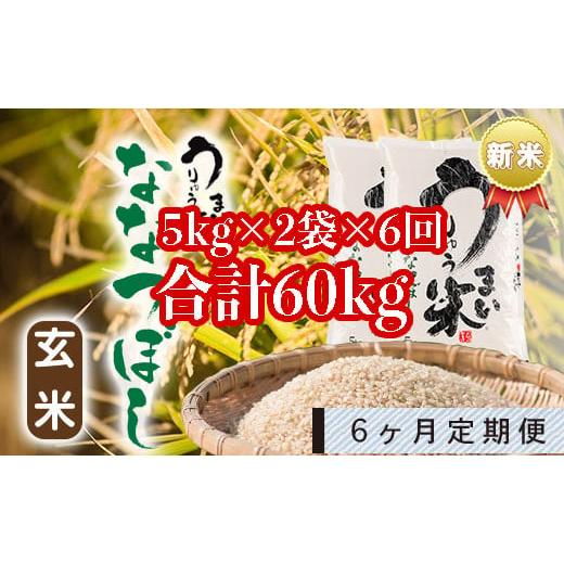 ふるさと納税 北海道 雨竜町 うりゅう米「ななつぼし（玄米）」5kg×2袋 定期便！毎月1回・計6回お届け