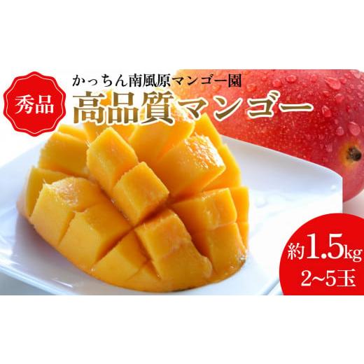 ふるさと納税 沖縄県 うるま市 高品質マンゴー 秀品　約1.5kg（2〜5玉）