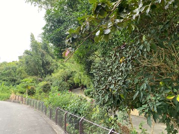 太平坪林近勤益科大低總價農地可休閒可農保｜台中市太平區大興段