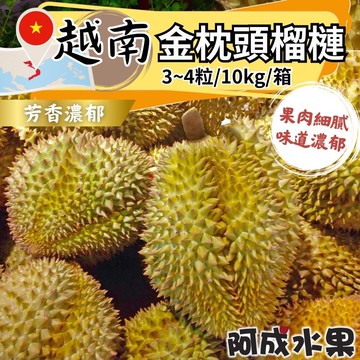越南金枕頭榴槤 (3~4粒/10kg/箱)