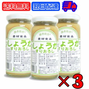 信州自然王国 環境栽培 国産しょうがすりおろし 150g ×3 無添加 生姜 しょうが ショウガ ジンジャー ginger すりおろし 冷奴 焼き茄子