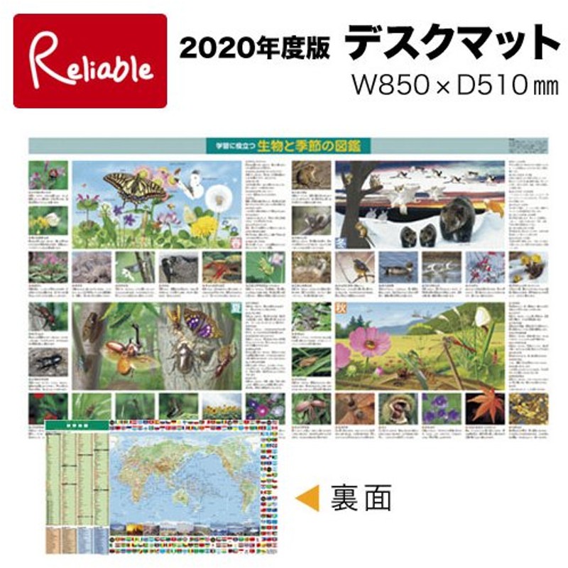 在庫一掃 ノック式油性ボールペン替芯 ルナ 黒 877-9J 5本 ステッドラー 単色