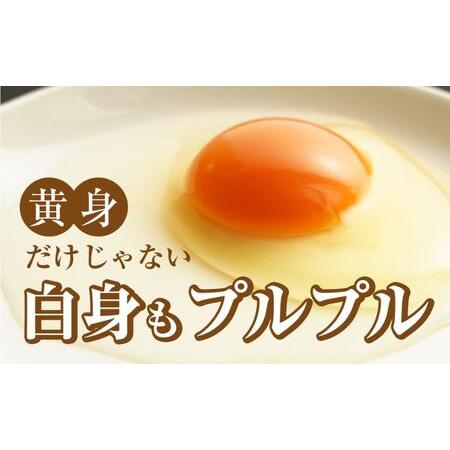 ふるさと納税 アスタキサンチンたまごちゃん 10個入り×3パック 卵 鶏卵 アスタキサンチン 抗酸化パワー 栃木県鹿沼市