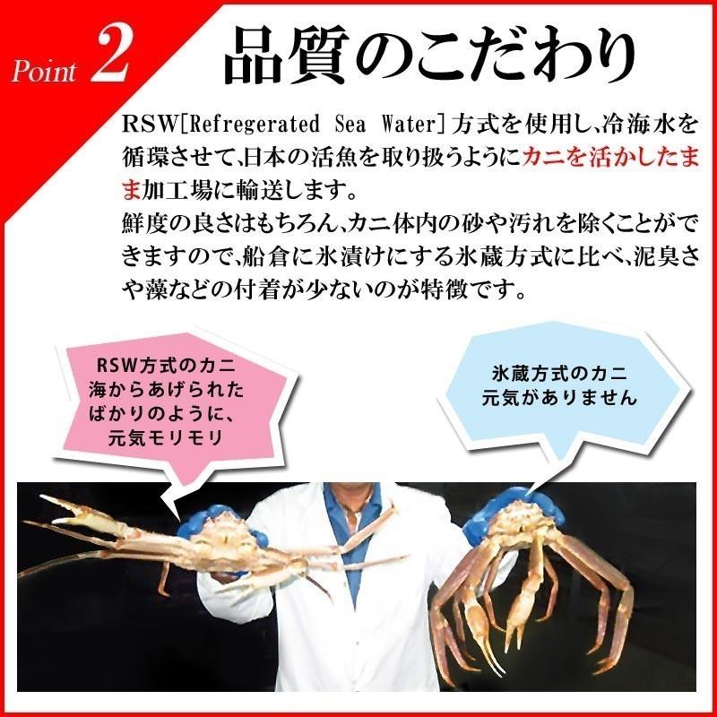 ギフト カニ 海鮮 かに 蟹 グルメ ズワイガニ ボイル 姿 ズワイ 3kg 5尾 不揃い (カナダ産) かにみそ 3~5人前 業務用 セット 材料 鍋