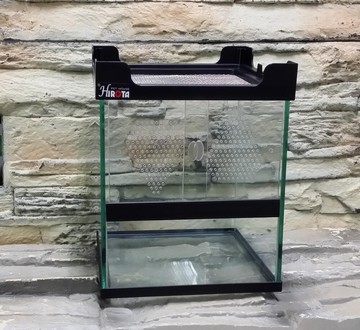 【西高地水族坊】HIROTA 小型寵物爬蟲飼育箱(含拉門)爬蟲箱