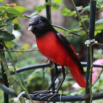 假鳥 仿真鳥 樹脂小鳥裝飾擺件仿真喜鵲雕塑 庭院裝飾 花園擺件