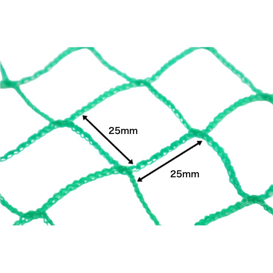 PE養生ネット 5ｍ×10ｍ ポリエチレン 25ｍｍ目 万能ネット 園芸ネット グリーンネット