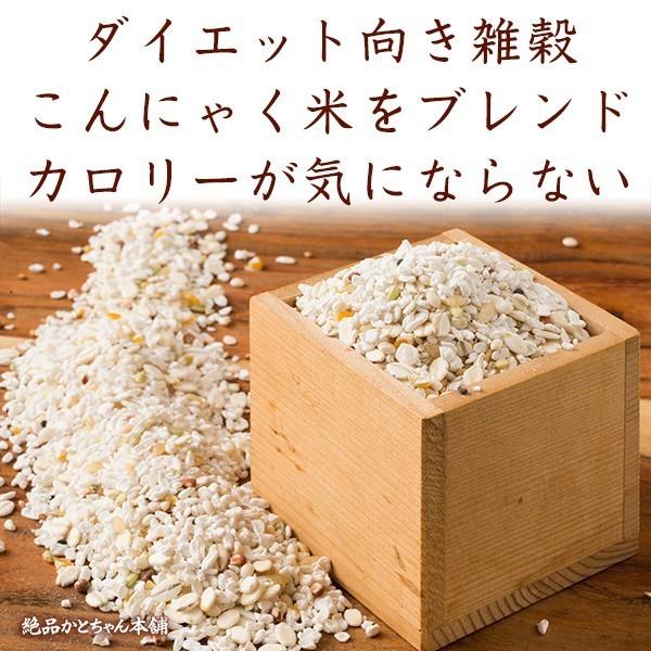 雑穀 雑穀米 糖質制限 究極のダイエット雑穀 4.5kg(450g×10袋) 送料無料 こんにゃく米配合 カロリーカット 豆なし 置き換えダイエット 雑穀米本舗