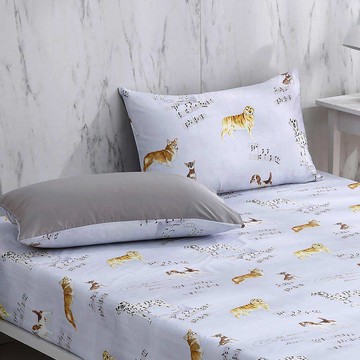 單人床包枕套組/美國棉授權品牌 300織/ 瑞奇樂曲 [鴻宇] 台灣製 - 2505