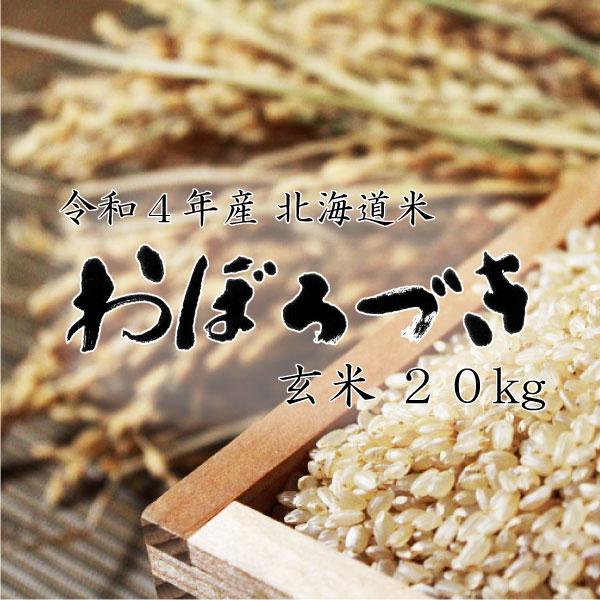 新米 米20kg お米 北海道米 おぼろづき 玄米 20kg 5kg×4 令和５年産 送料無料