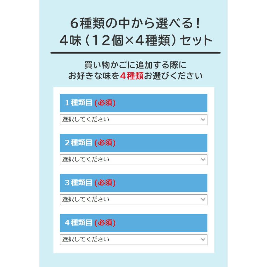 R1 R-1 ヨーグルト 明治 プロビオ 112g 健康 効能 乳酸菌 6種類から 選べる 4味 （ 48個 セット