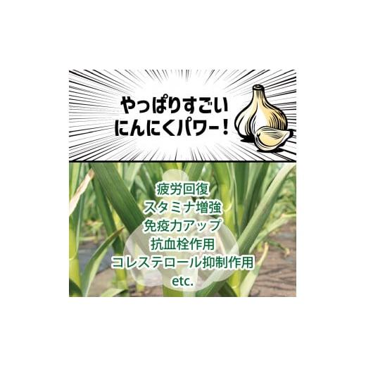 ふるさと納税 青森県 五所川原市 青森県産にんにく1kg