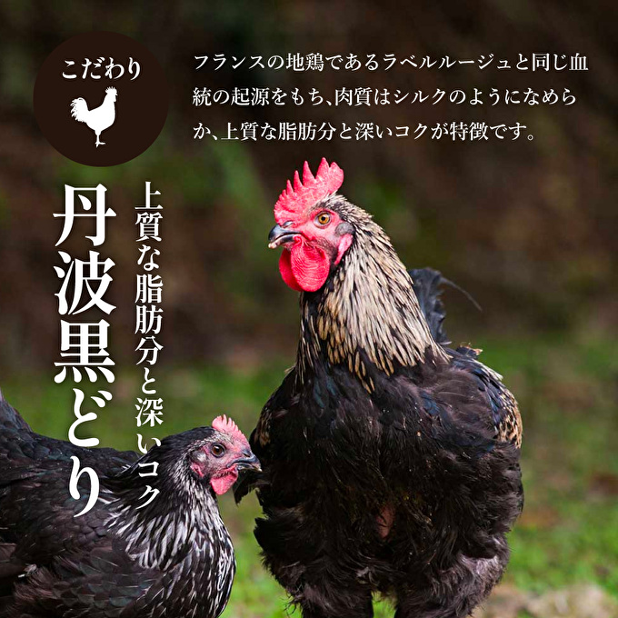 地鶏 丹波 黒どり 鶏まん 10個 伯楽家常菜 コラボ商品 肉まん 九条ネギ 鶏肉 ビブグルマン チキン むね ささみ ヘルシー 冷凍 丹波山本 あっさり ボリューム満点 中華