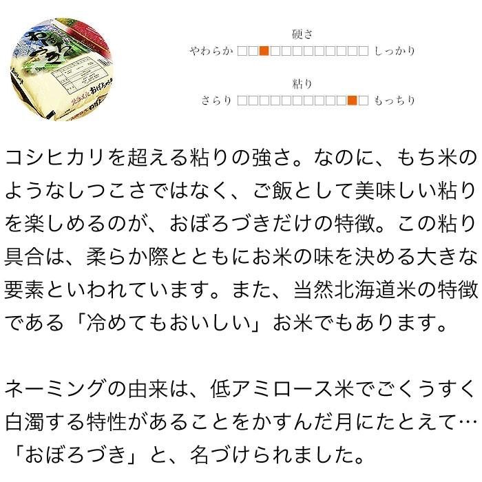 新米 米 10kg 5kg×2袋セット お米 玄米 おぼろづき 北海道産 玄米 白米 分づき米 令和5年産 送料無料