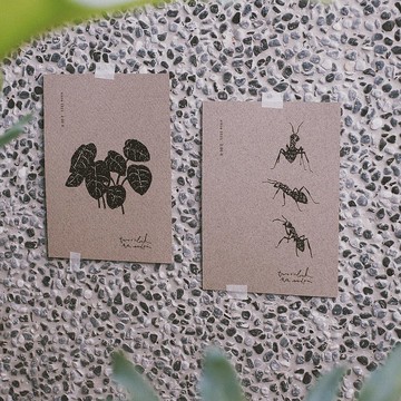 友好符號の亂入生物 / 明信片附信封 / 單購或二入優惠組