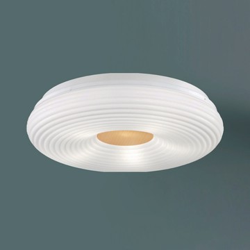 E27 壓克力吸頂五燈 C16-13-64593