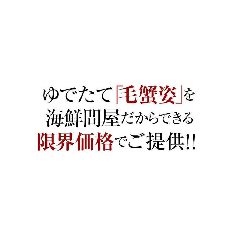 2023 ギフト 北海道産 毛ガニ 毛蟹(550g前後×3尾) 浜ゆで 毛蟹