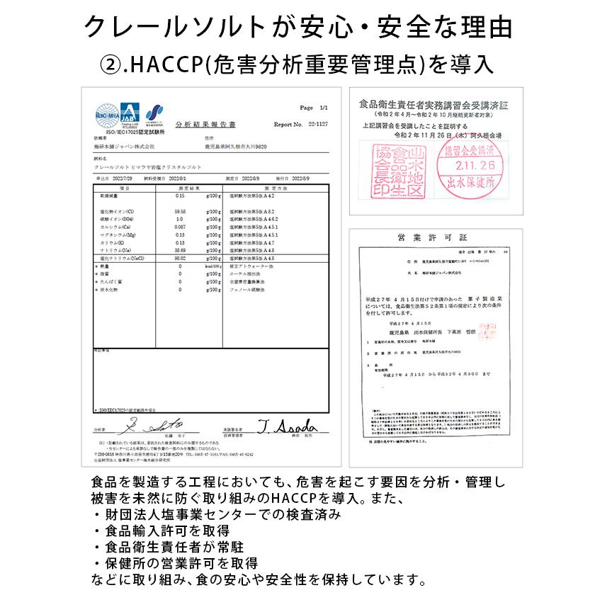 クリスタル岩塩 岩塩 250g 4パックセット クリスタルソルト パウダー あら塩 小粒 ブロック おろし金付き 梅研本舗 UMEKEN HONPO