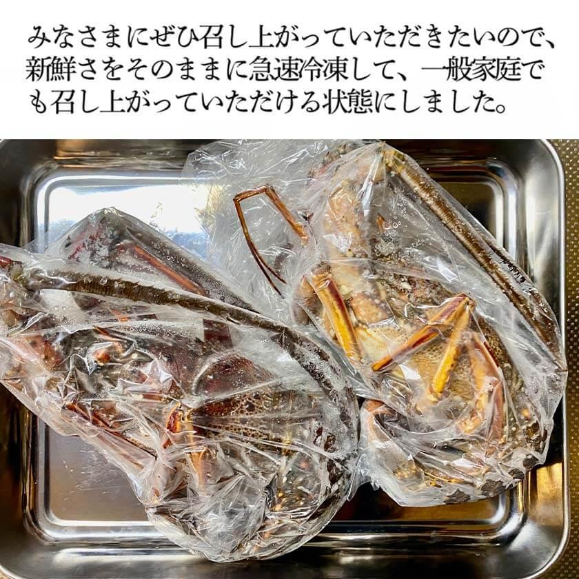 職人吉岡の冷凍伊勢海老 1~2尾 400g