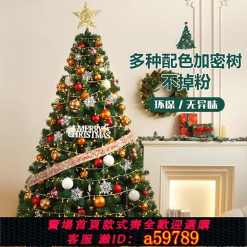 【全網低價 可打統編】聖誕樹2025新款客廳家用diy聖誕節裝飾大型網紅高階感擺件耶誕樹