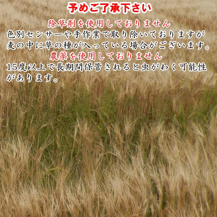 もち麦 450g ポスト投函専用 大麦 くすもち二条 無農薬 福岡県産 国産 1000円 ぽっきり ポイント消化