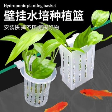 實用園藝工具 水培定植籃 水耕盆 水培植物籃 花籃 草盆 水草盆 水草種植固定器 水缸造景佈置 魚缸壁掛式水培 田螺精選