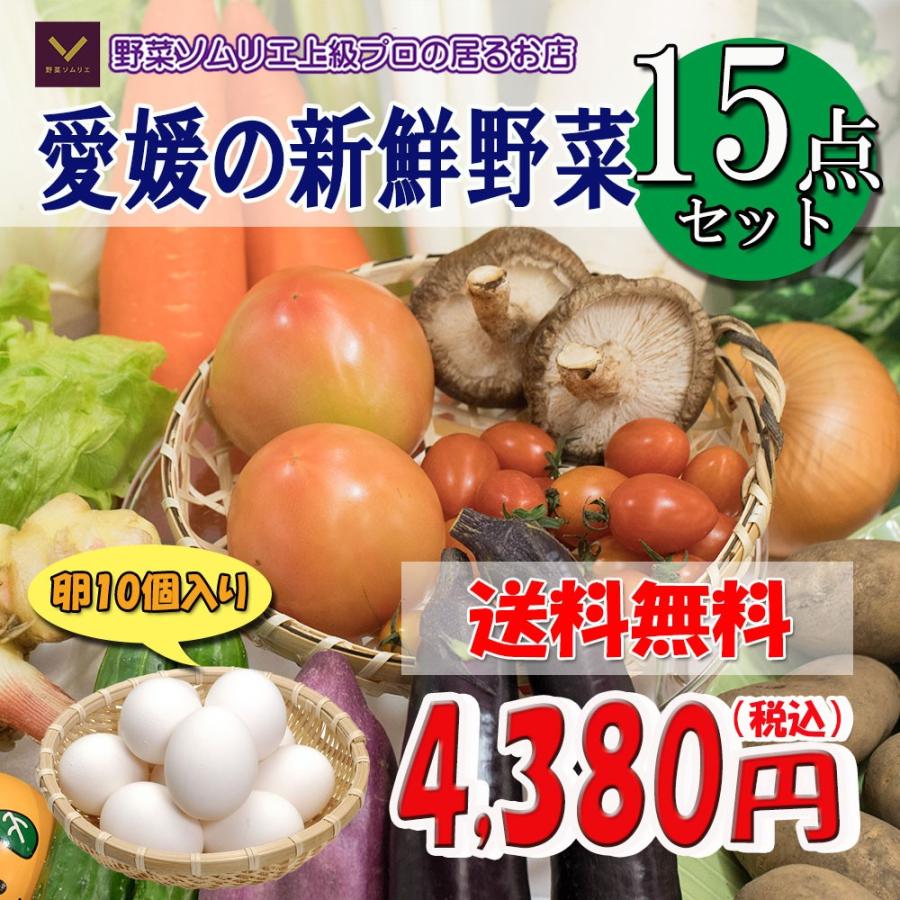 野菜詰め合わせ 野菜 詰め合わせ 15品 卵 10個入 送料無料 冷蔵便