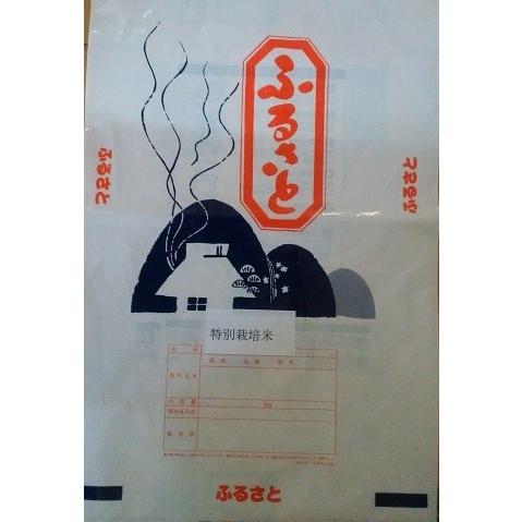 特別栽培 令和5産宮城県ササニシキ玄米5ｋｇｘ2（玄米のまま）環境保全米 登米市産