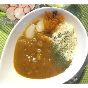 カレー専門店 sabzi（サブジ） オリジナル レトルトカレー New野菜カレー・180ｇ×4食