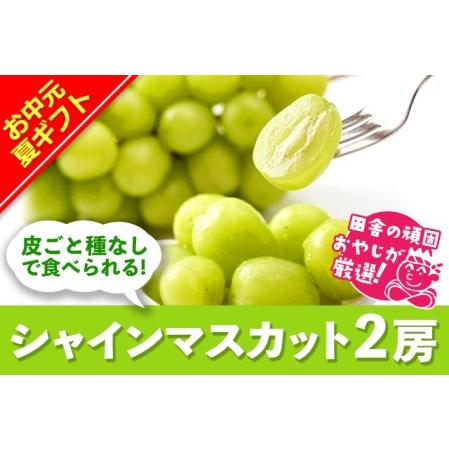 ふるさと納税 ＜お中元熨斗付＞田舎の頑固おやじが厳選！シャインマスカット2房 茨城県つくばみらい市