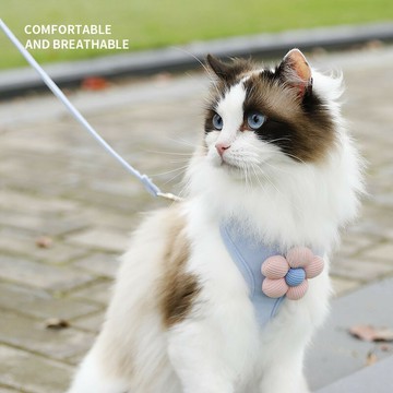新款猫咪花朵牵引绳狗狗背心式胸背带宠物胸背带宠物用品批发py6101