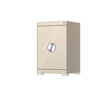 【預購】PHILIPS 飛利浦 智能WIFI保險櫃 淺霞金(SBX602-6C)