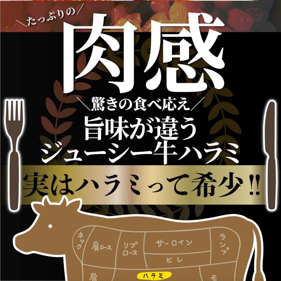 牛ハラミ焼肉（タレ漬け）500g（250g×2） タレ 赤身 はらみ 秘伝 焼肉 やきにく ハラミ アウトドア お家焼肉 BBQ キャンプ キャンプ飯