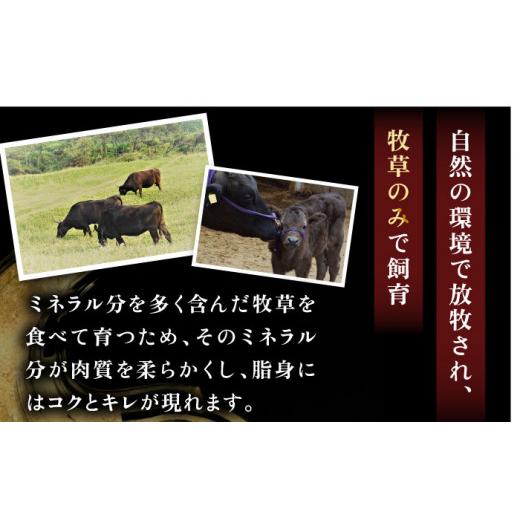 ふるさと納税 長崎県 壱岐市 壱岐牛ロース焼肉用300g [JBO073] ロース 焼肉 黒毛和牛  216000 216000円