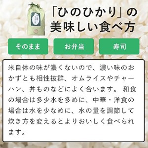 ひのひかり 定期便10kg×6ヵ月 計60kg (10kg:5kg×2袋) 精米 ふんわり 岡山県産