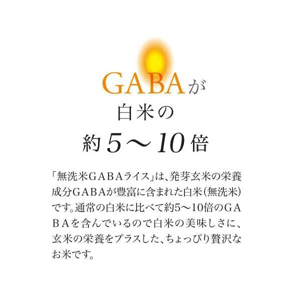 GABA RICE 無洗米 きぬむすめ 900g