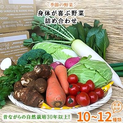 ふるさと納税 潮来市 自然栽培『身体が喜ぶ野菜』詰め合わせ(おまかせ)潮来はぐくみのもり