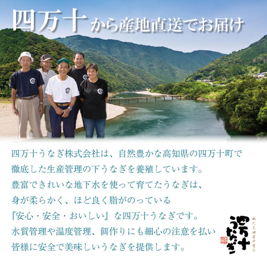 四万十うなぎ白焼き5本セット（タレき）高知県四万十から産地直送