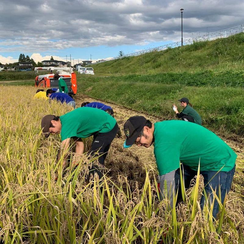 水菜土農園精米令和4年産 秋田県産 あきたこまち 5kg 古代米お試し袋付き