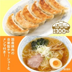 冷凍生餃子とラーメン10人前セット　ぎょうざの満洲