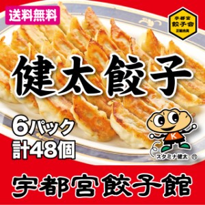 宇都宮餃子会　正組合員　宇都宮餃子館　健太餃子詰合せ　　健太餃子８個入り×６パック／餃子フェス